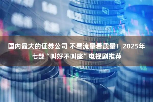 国内最大的证券公司 不看流量看质量！2025年七部“叫好不叫座”电视剧推荐