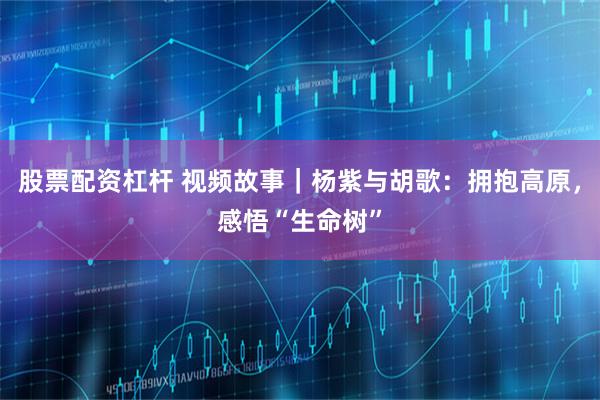 股票配资杠杆 视频故事｜杨紫与胡歌：拥抱高原，感悟“生命树”